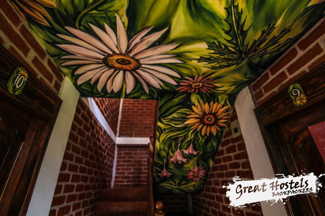 Great Hostels Backpackers بانيوس المظهر الخارجي الصورة